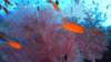 p1060814_small.jpg
