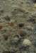 p1070046_small.jpg