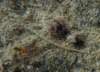 p1070047_small.jpg