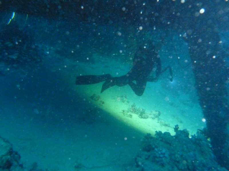 p1070146.jpg