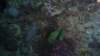 p1070154_small.jpg