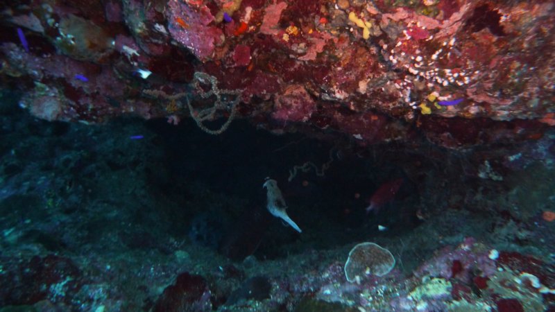 p1070167.jpg