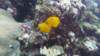 p1070203_small.jpg