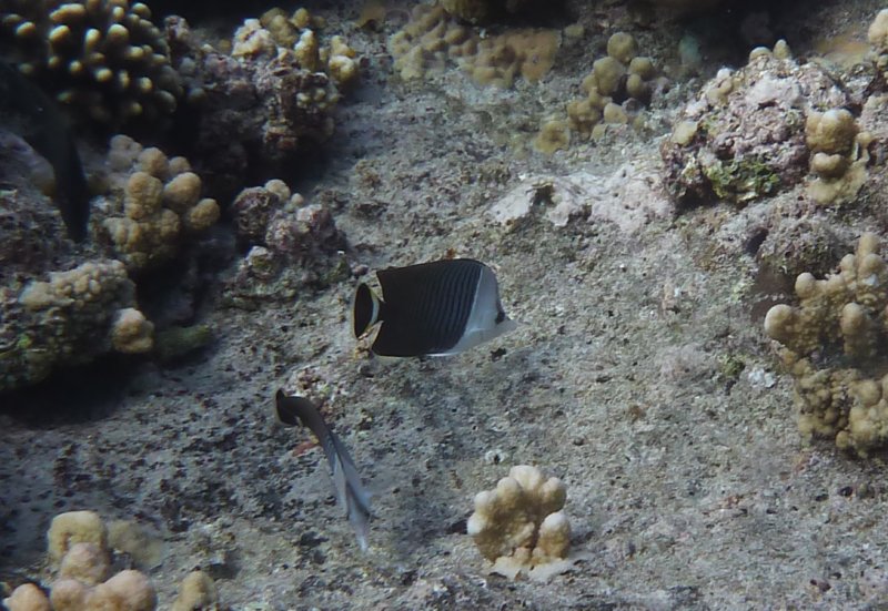 p1070237.jpg