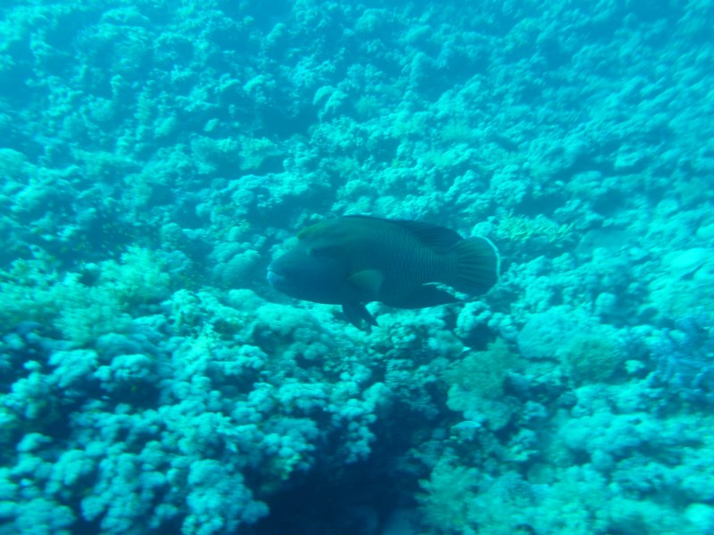 p1070246.jpg