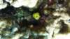 p1070255_small.jpg