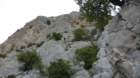 p1000225_small.jpg