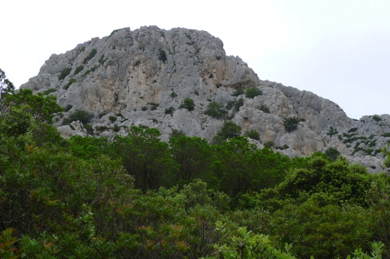p1100684.jpg