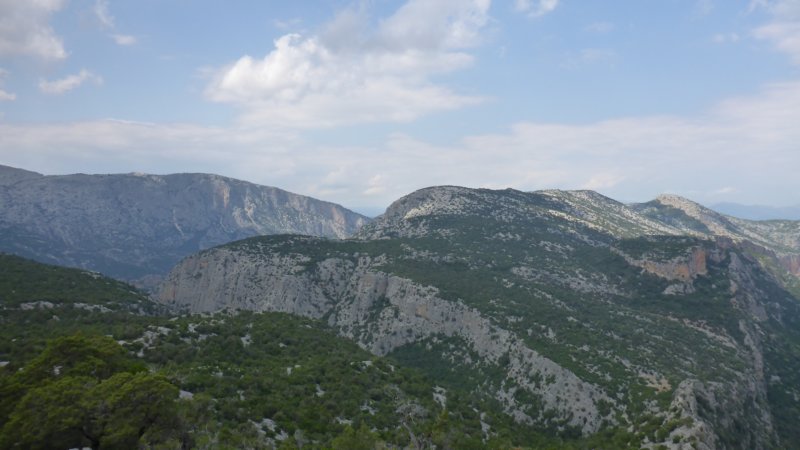 p1000236.jpg
