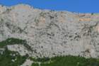 p1100688_small.jpg