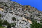p1100696_small.jpg