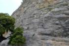 p1100727_small.jpg