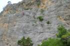 p1100728_small.jpg