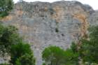 p1100729_small.jpg