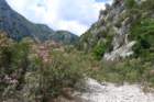 p1100738_small.jpg