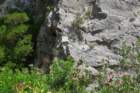 p1100740_small.jpg
