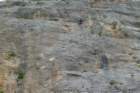 p1100741_small.jpg