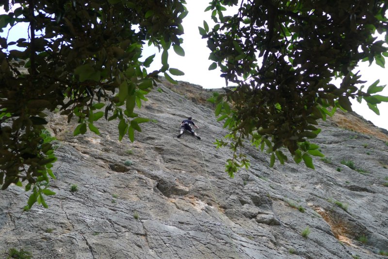 p1100744.jpg