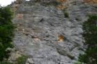 p1100747_small.jpg