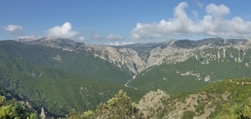 p1000240.jpg