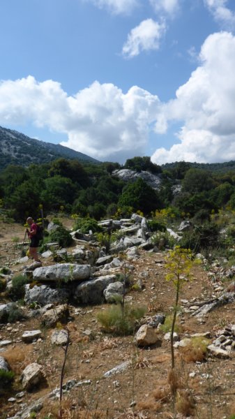 p1000243.jpg