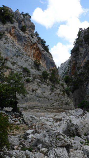 p1000244.jpg