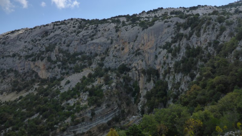 p1000254.jpg