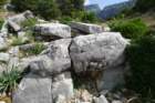 p1100798_small.jpg