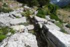 p1100799_small.jpg