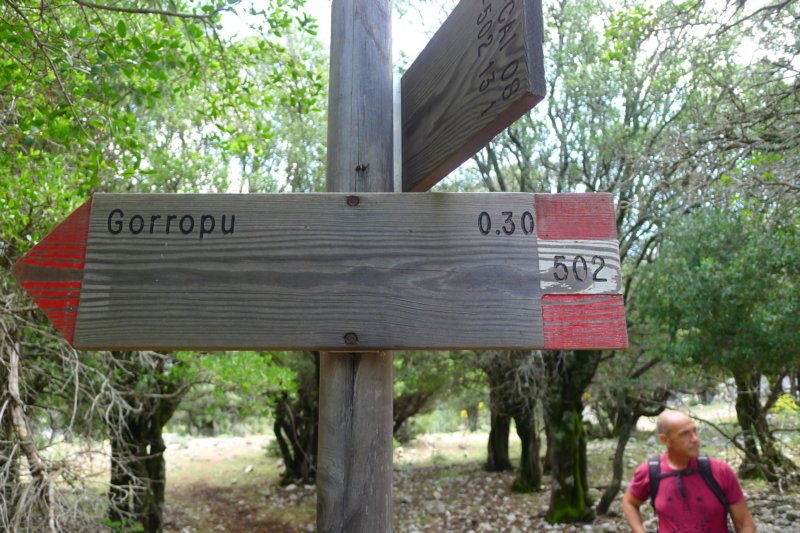 p1100805.jpg