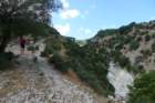 p1100814_small.jpg