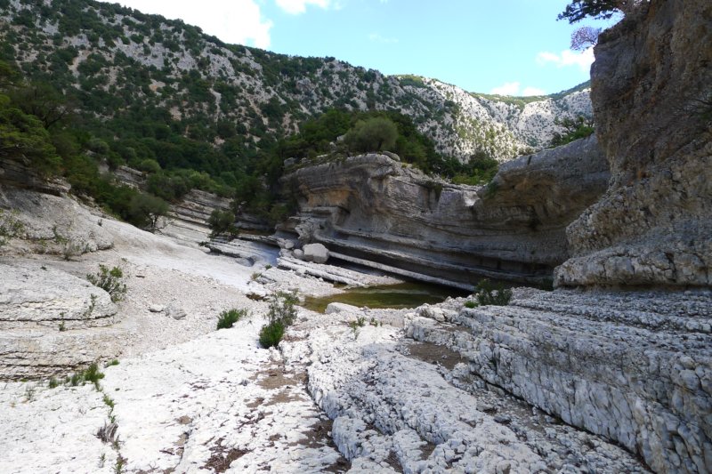 p1100815.jpg