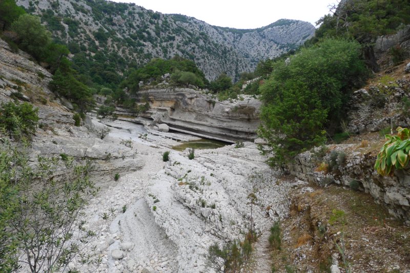 p1100860.jpg