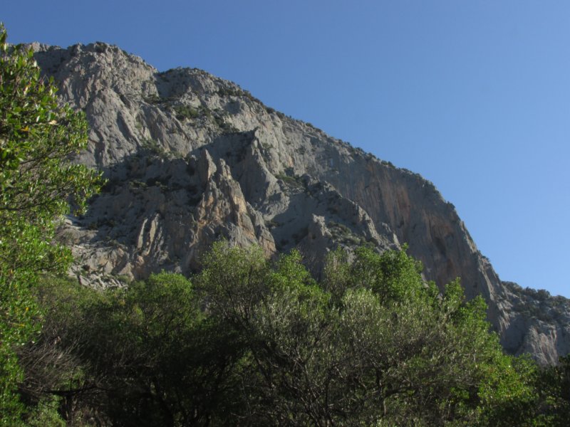 img_3424.jpg