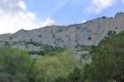 p1100920_small.jpg