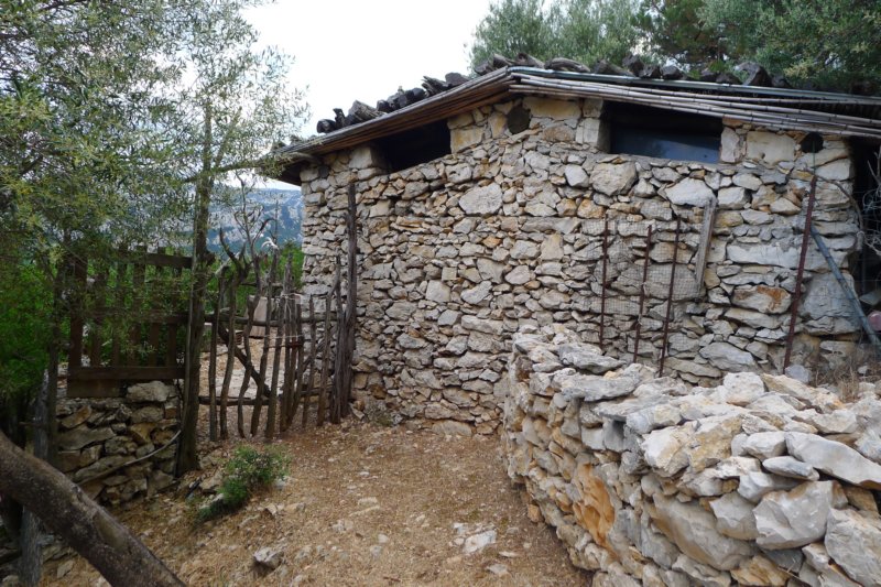 p1100921.jpg