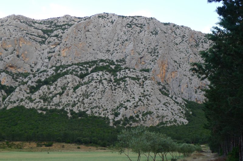 p1100922.jpg