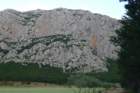 p1100922_small.jpg