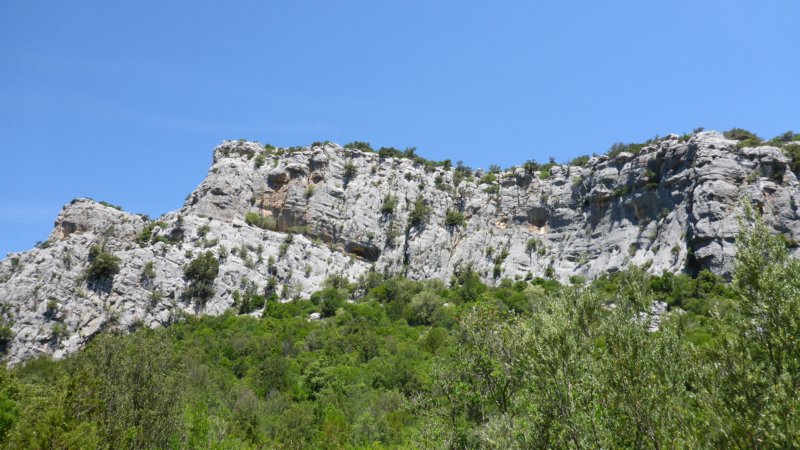 p1000299.jpg