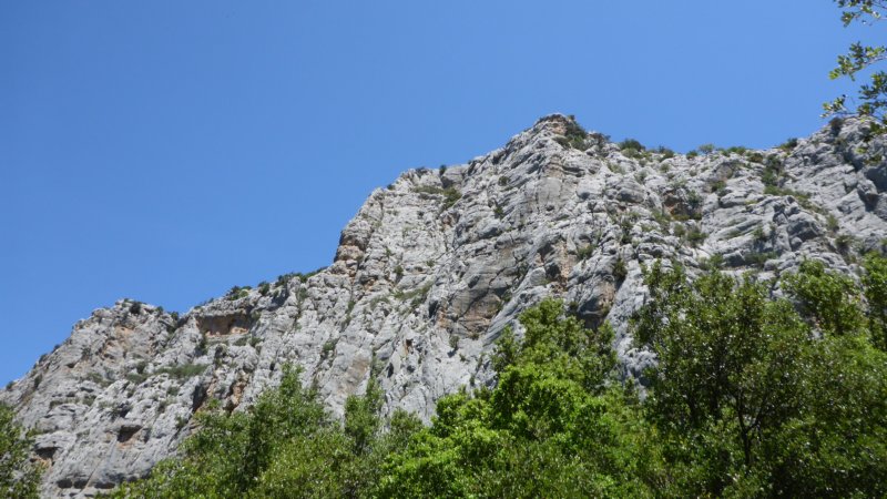 p1000300.jpg