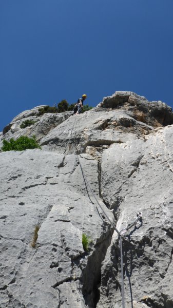 p1000313.jpg