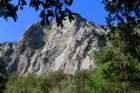 p1100948_small.jpg