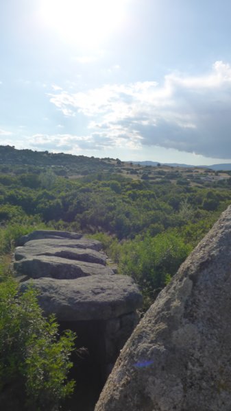 p1000328.jpg