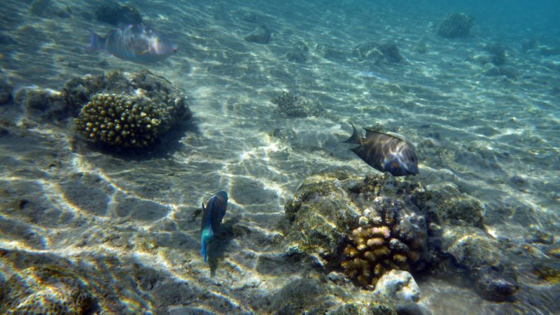 p1010243.jpg
