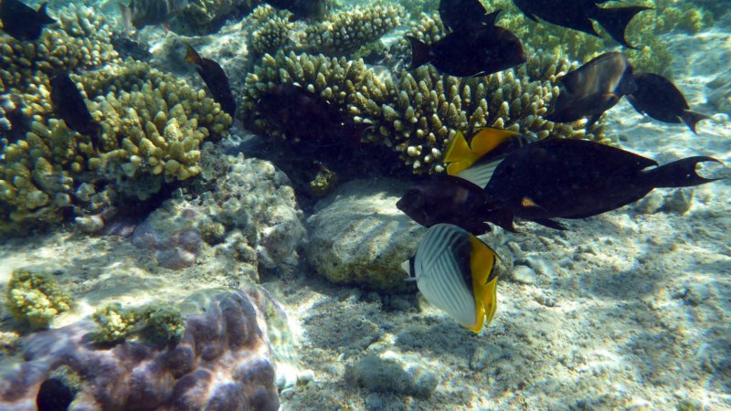 p1010250.jpg