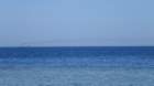 p1010262_small.jpg