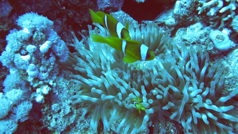 p1010266.jpg