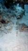 p1010284_small.jpg