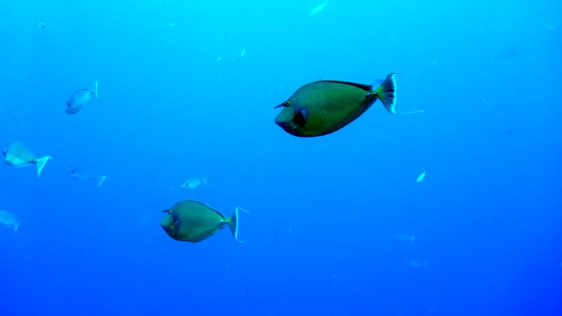 p1010308.jpg