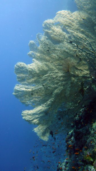 p1010387.jpg